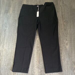 Chico's So Slimming Brigitte Slim Leg pants. Size 14R